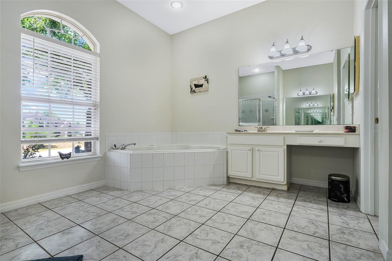 14101 VISTA DEL LAGO BLVD, CLERMONT, FL, 34711