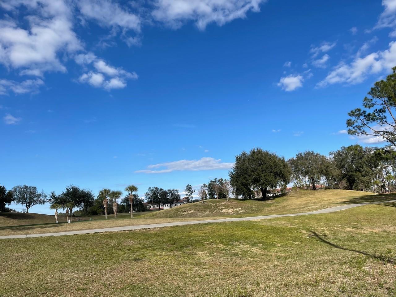 14101 VISTA DEL LAGO BLVD, CLERMONT, FL, 34711