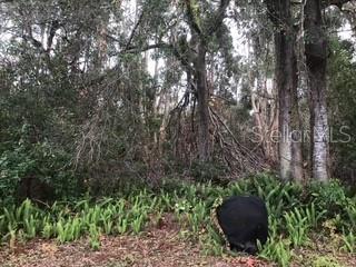 2060 MARILYN ST #103, CLEARWATER, FL, 33765