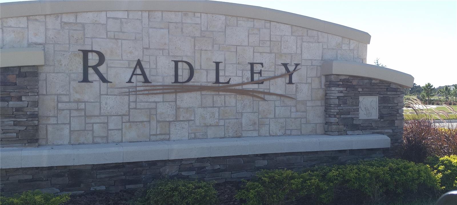 34273 RADLEY WAY, WESLEY CHAPEL, FL, 33545