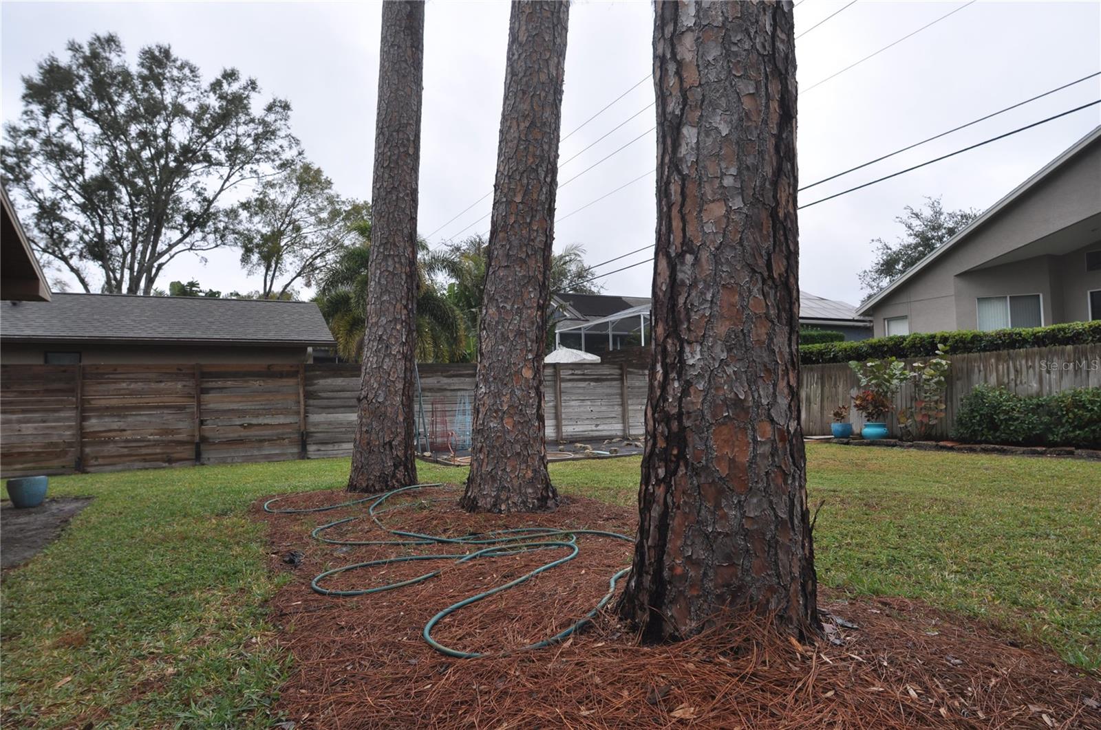 3430 TARPON WOODS BLVD, PALM HARBOR, FL, 34685