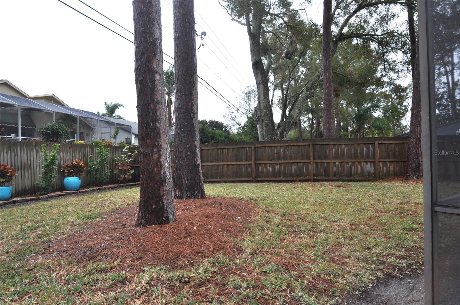 3430 TARPON WOODS BLVD, PALM HARBOR, FL, 34685
