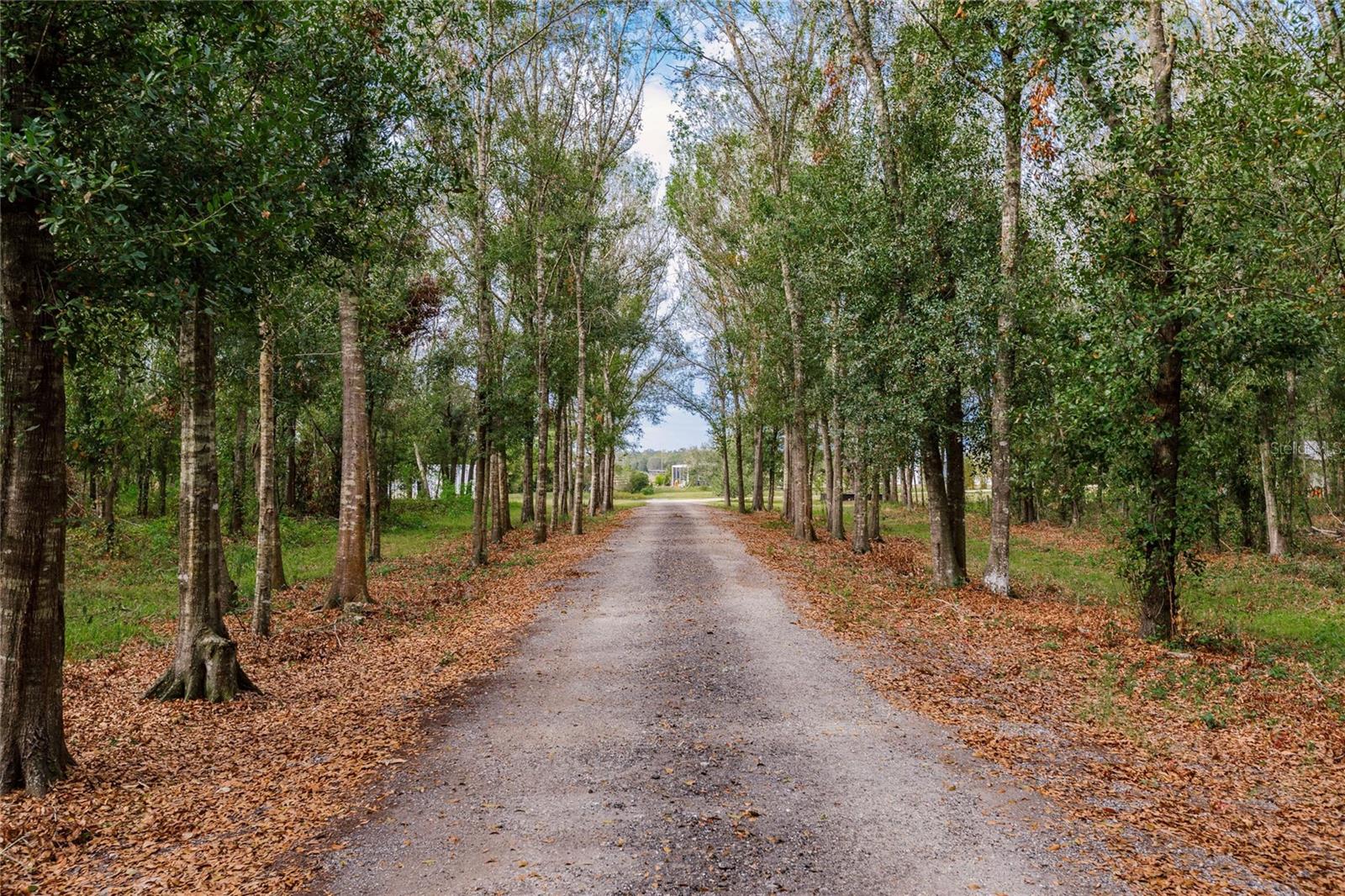 1731 SW COUNTY ROAD 769, ARCADIA, FL, 34266