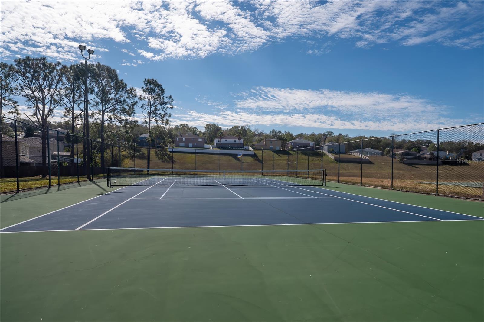702 SKYRIDGE RD, CLERMONT, FL, 34711