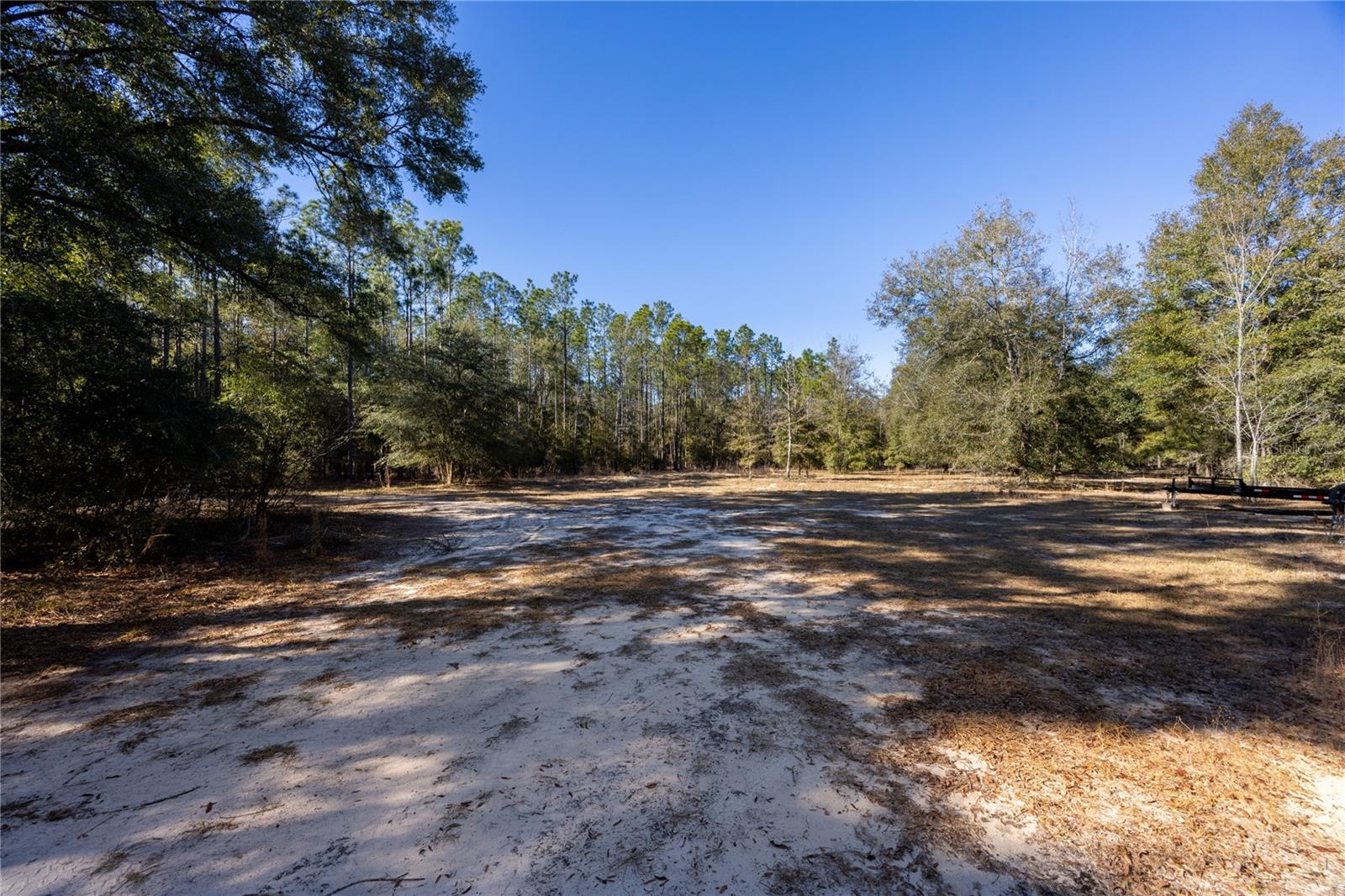 3209 NE 53RD TER, HIGH SPRINGS, FL, 32643