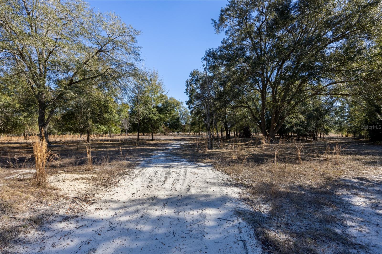 3209 NE 53RD TER, HIGH SPRINGS, FL, 32643