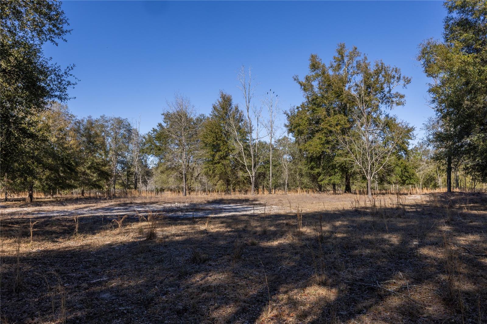 3209 NE 53RD TER, HIGH SPRINGS, FL, 32643