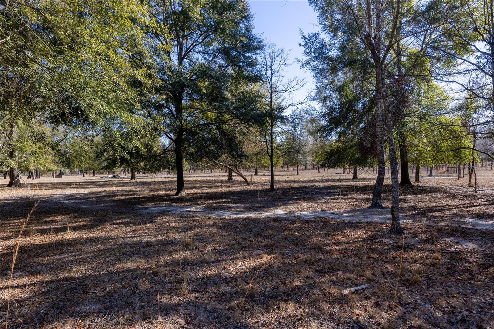 3209 NE 53RD TER, HIGH SPRINGS, FL, 32643