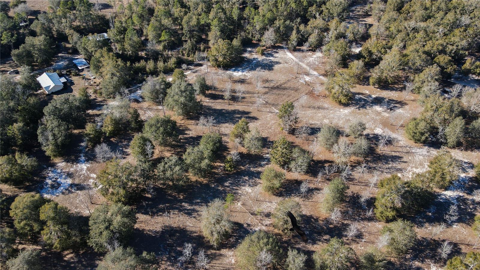 3209 NE 53RD TER, HIGH SPRINGS, FL, 32643