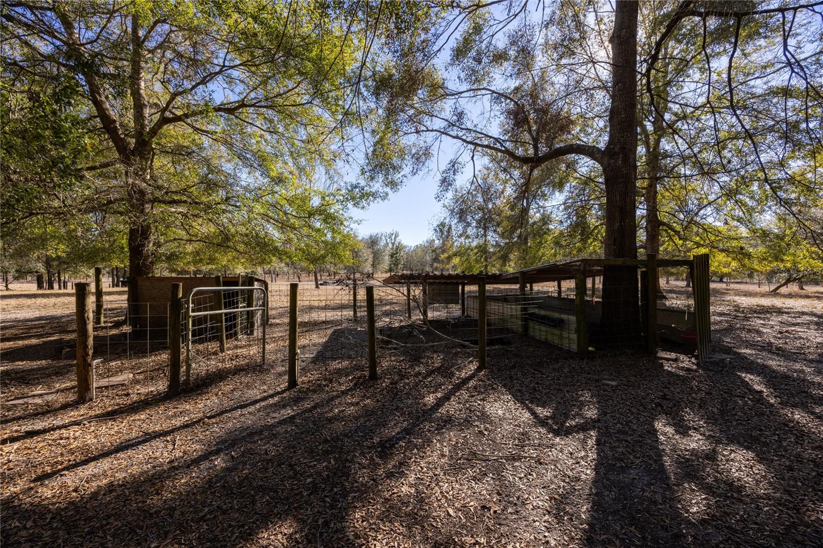 3209 NE 53RD TER, HIGH SPRINGS, FL, 32643