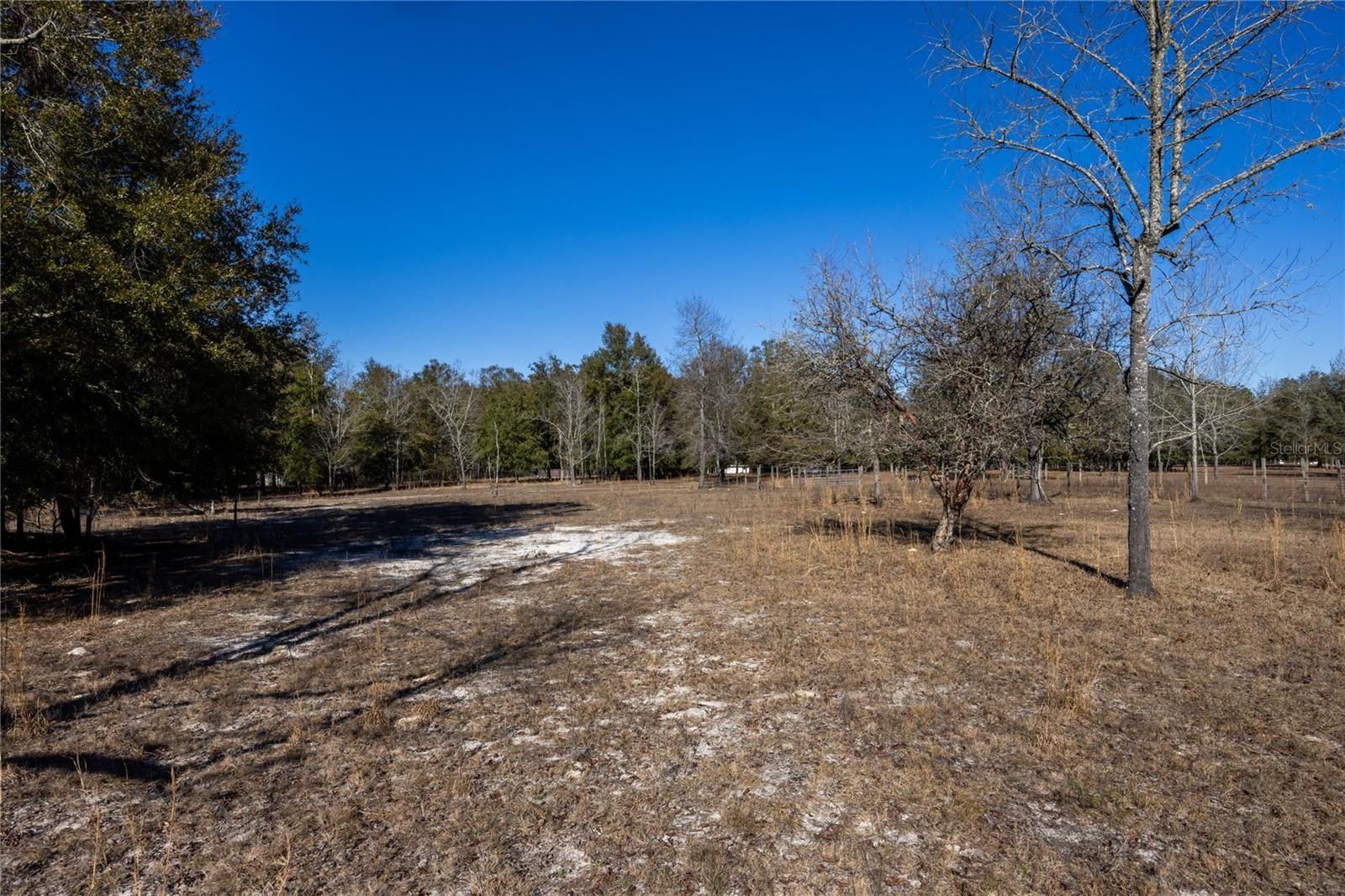 3209 NE 53RD TER, HIGH SPRINGS, FL, 32643