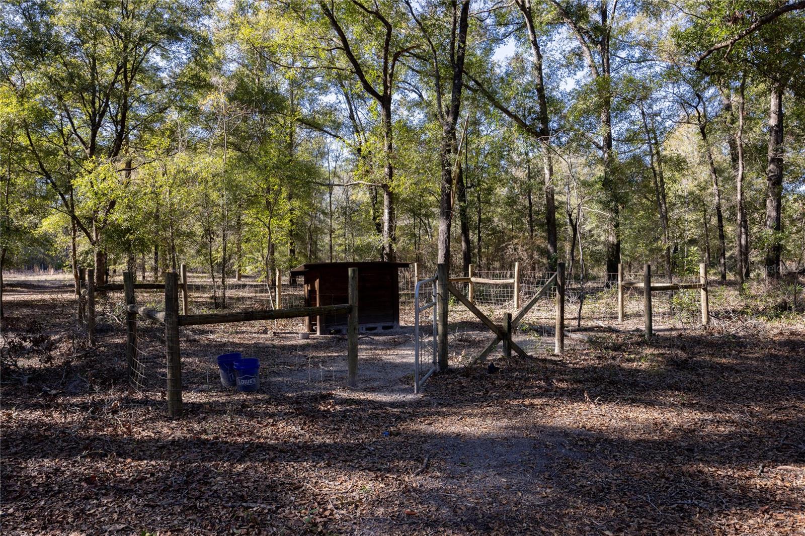 3209 NE 53RD TER, HIGH SPRINGS, FL, 32643