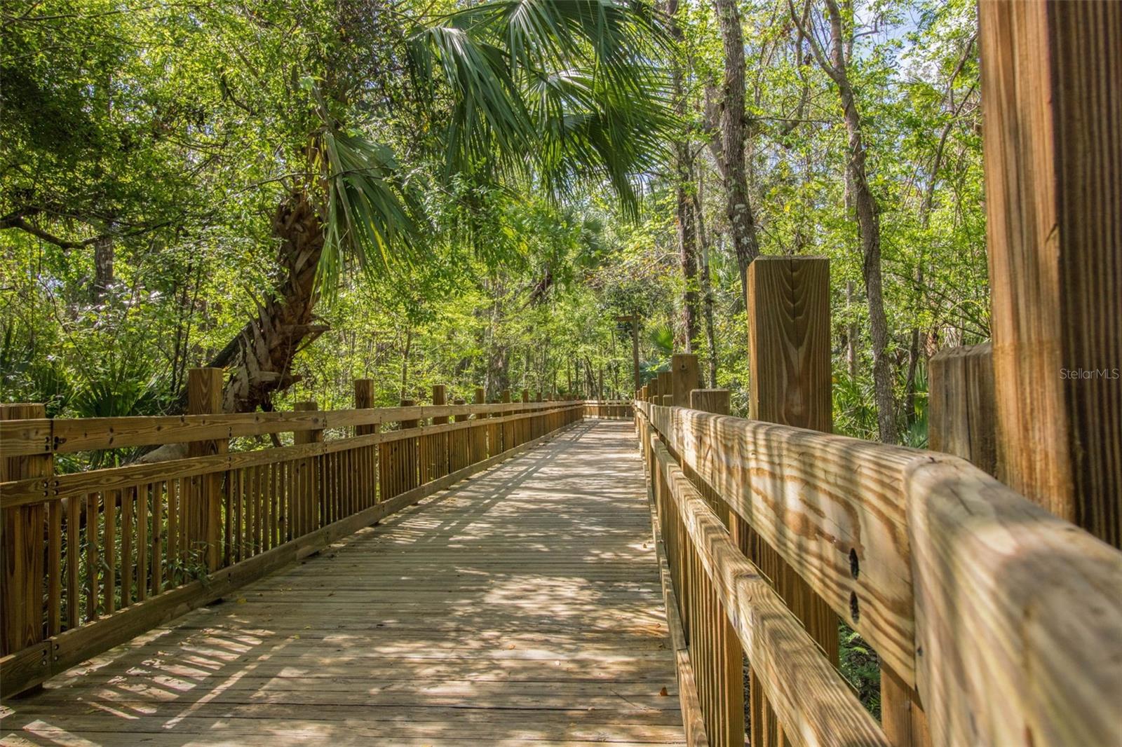 1211 STONECUTTER DR #206, CELEBRATION, FL, 34747