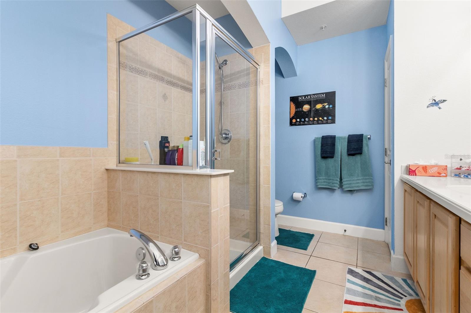 1211 STONECUTTER DR #206, CELEBRATION, FL, 34747