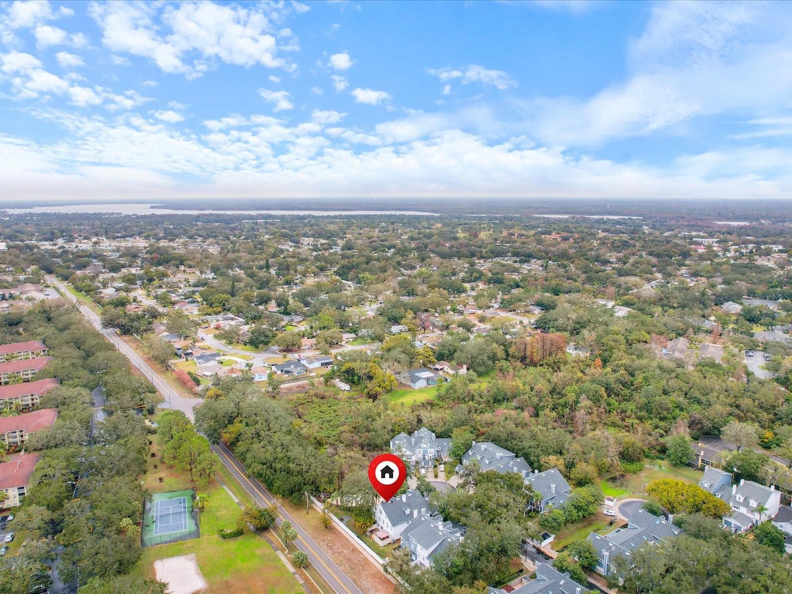 291 WINCHESTER WAY, PALM HARBOR, FL, 34684