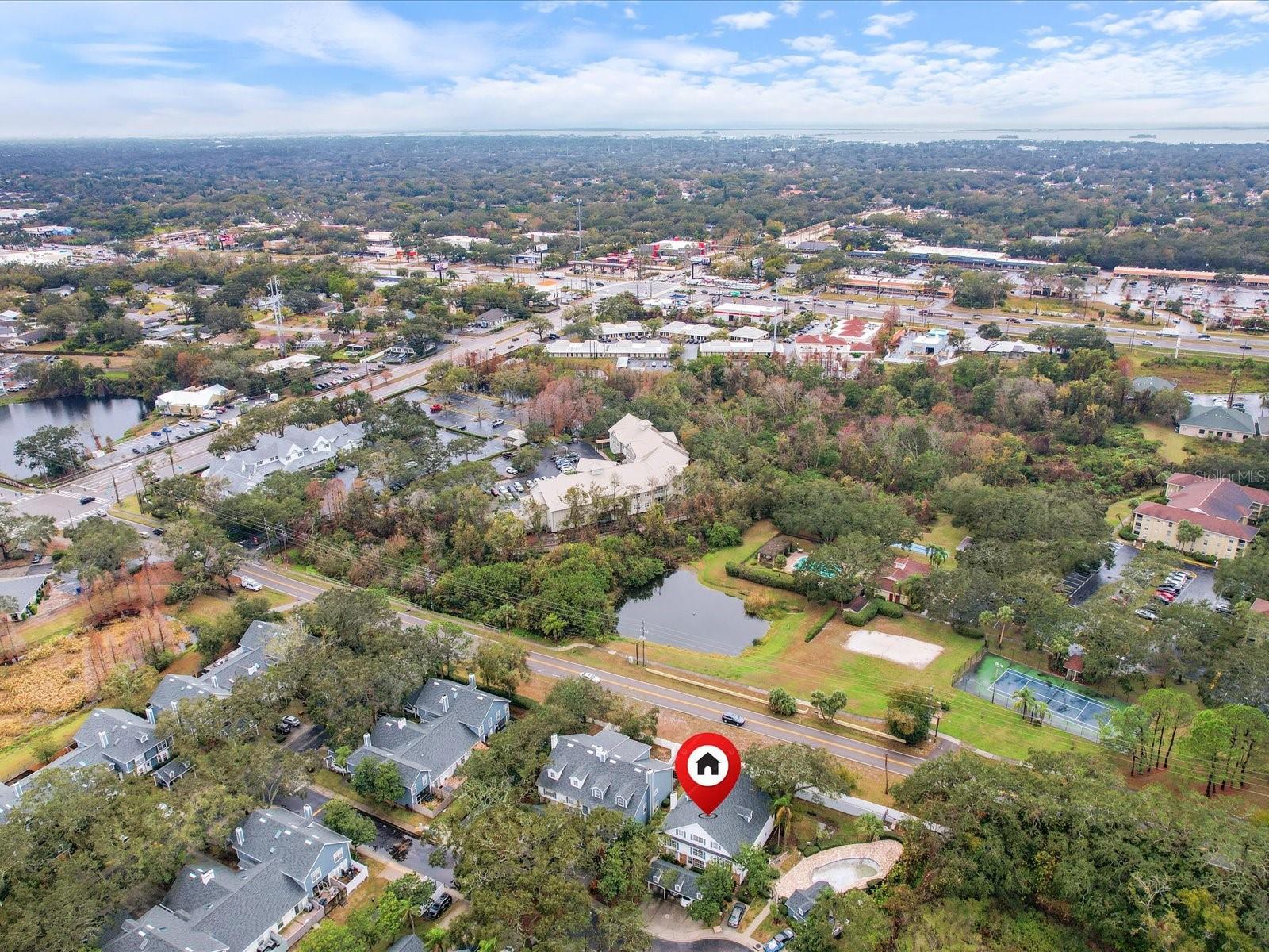 291 WINCHESTER WAY, PALM HARBOR, FL, 34684