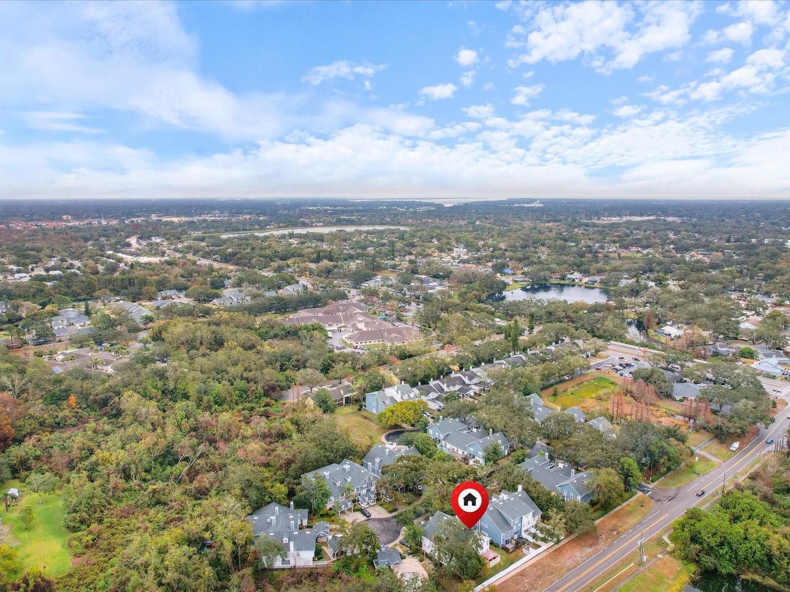 291 WINCHESTER WAY, PALM HARBOR, FL, 34684