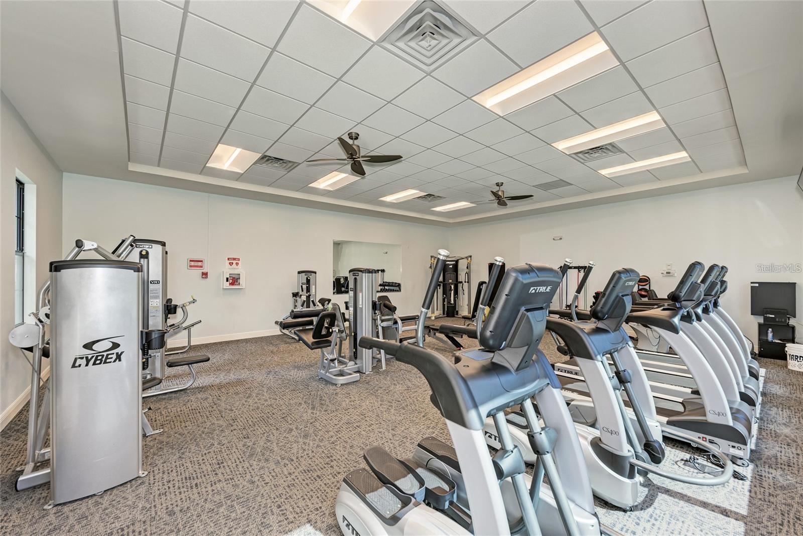 9895 WINGOOD DR, VENICE, FL, 34292