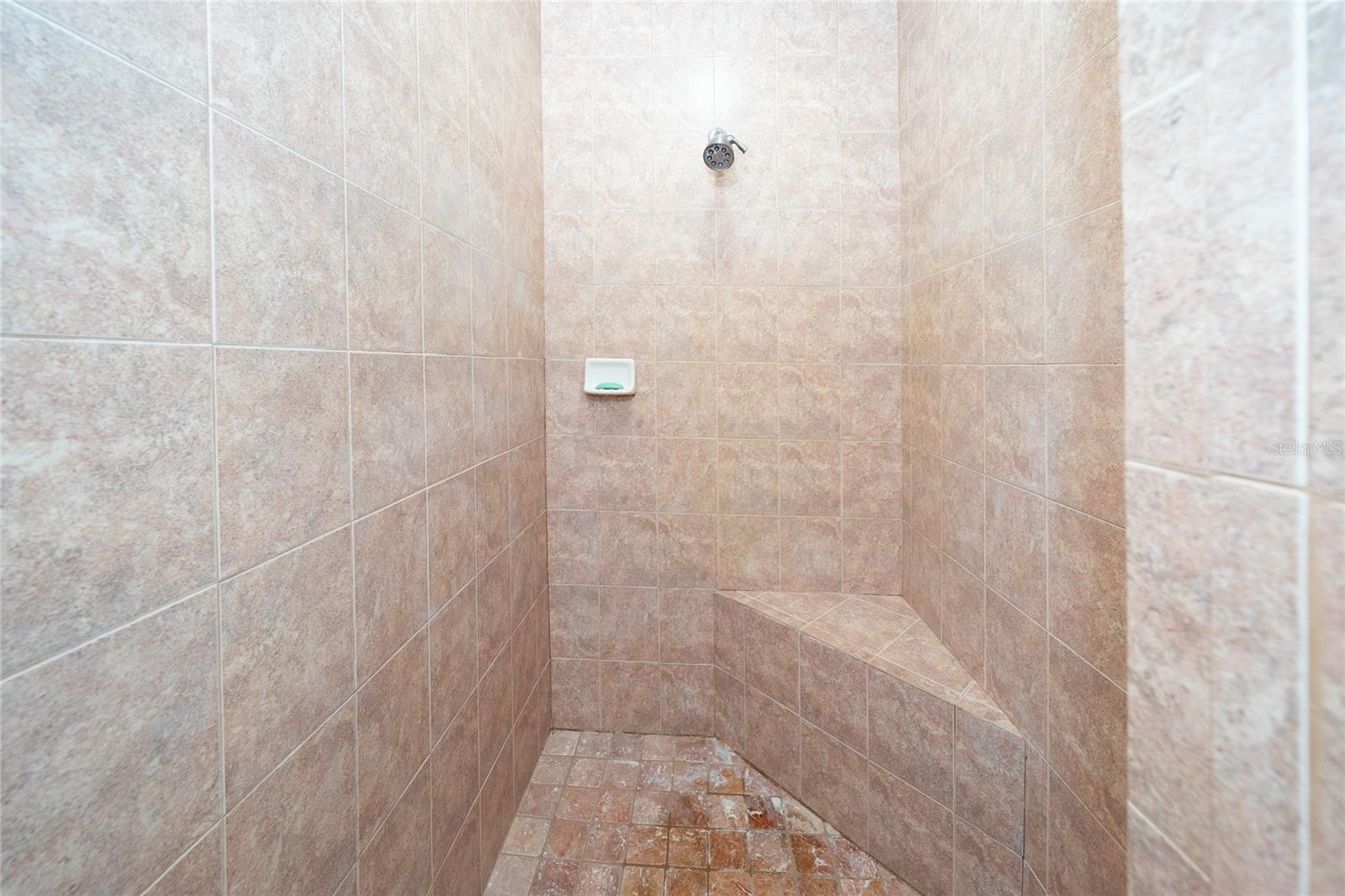 34303 SAHALEE LOOP, DADE CITY, FL, 33525