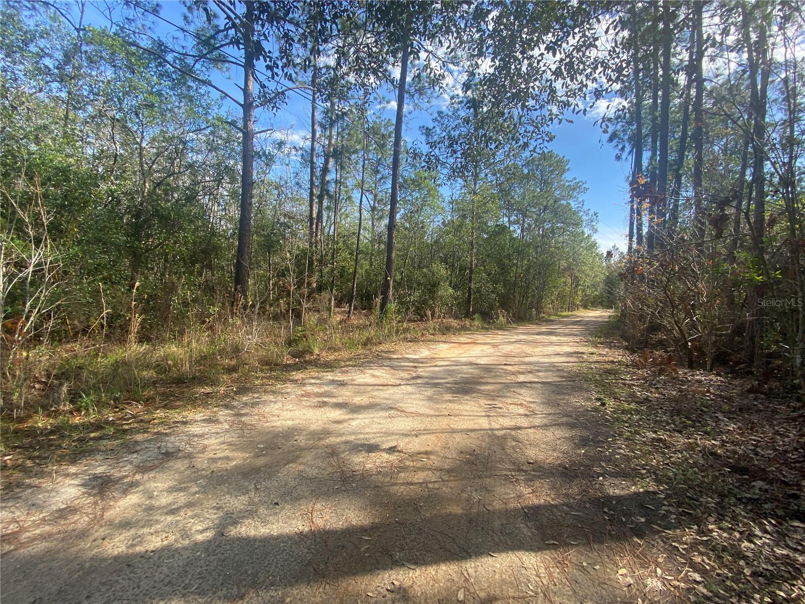TBD OIL WELL RD, CLERMONT, FL, 34714