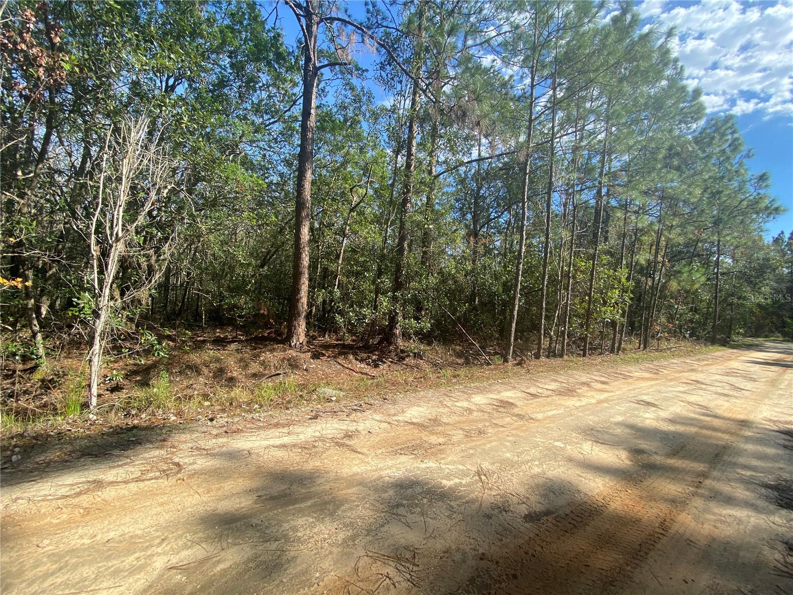 TBD OIL WELL RD, CLERMONT, FL, 34714