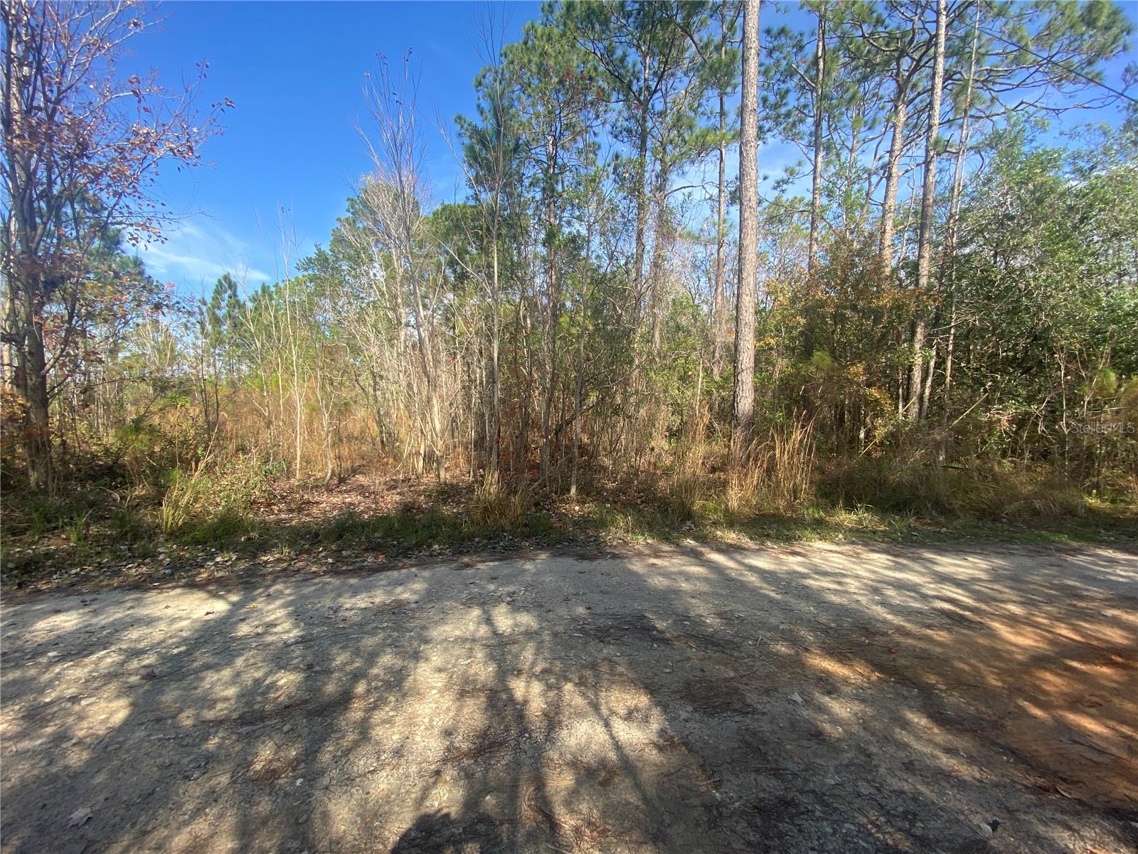 TBD OIL WELL RD, CLERMONT, FL, 34714