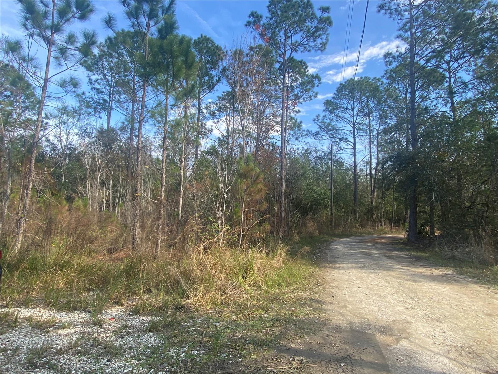 TBD OIL WELL RD, CLERMONT, FL, 34714