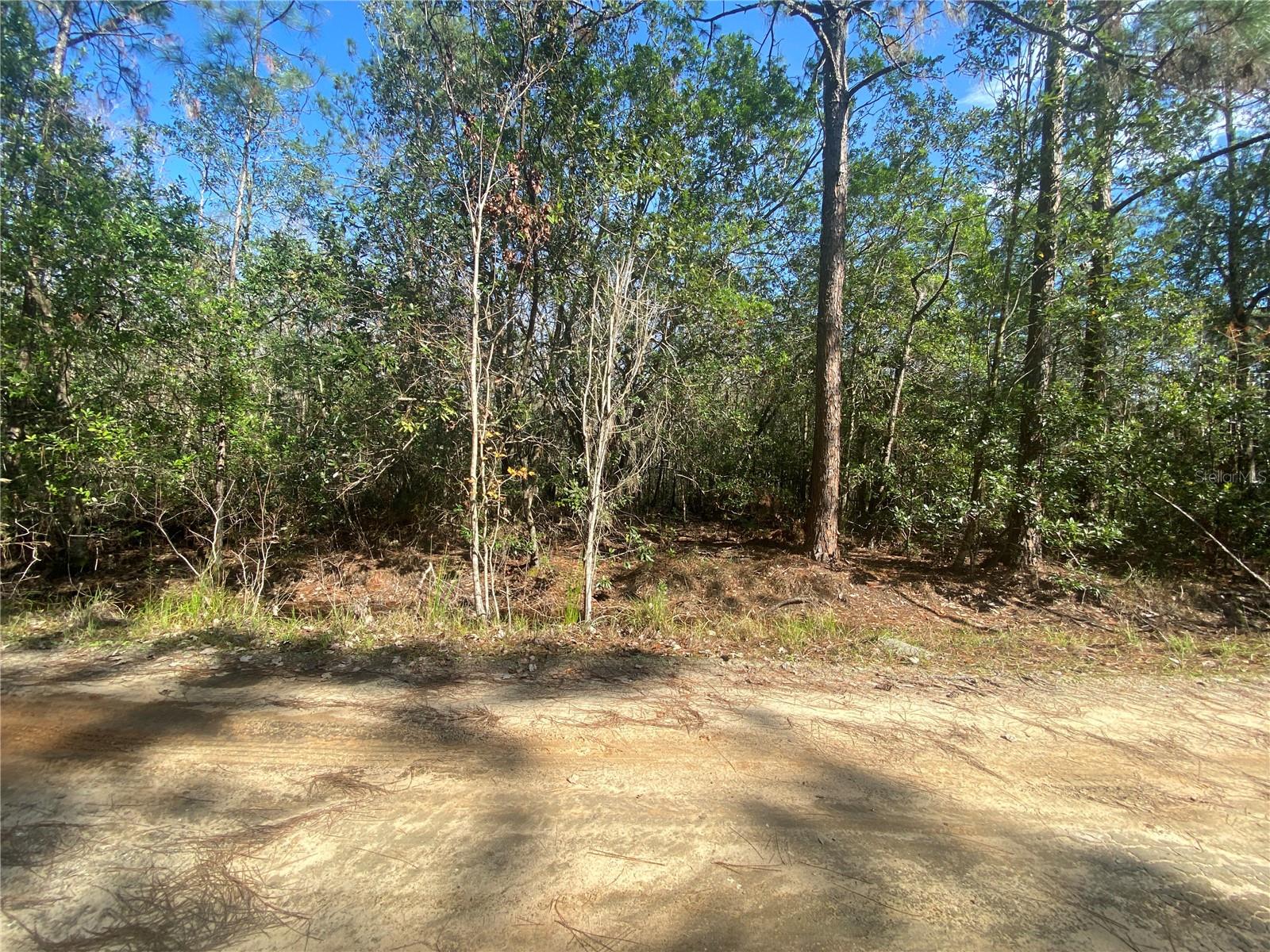TBD OIL WELL RD, CLERMONT, FL, 34714