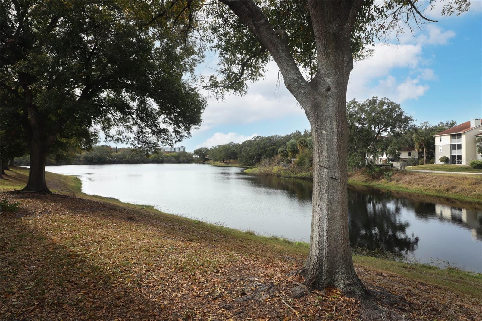 580 CRANES WAY #156, ALTAMONTE SPRINGS, FL, 32701