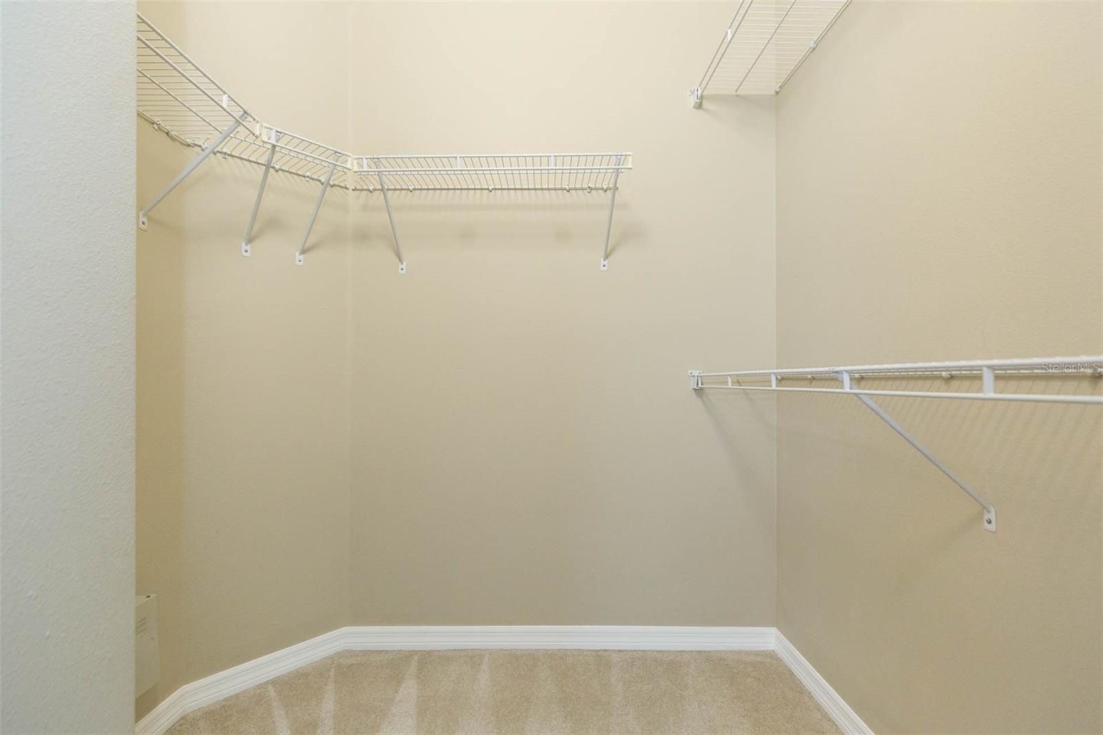 1748 PALADINO CT, ODESSA, FL, 33556