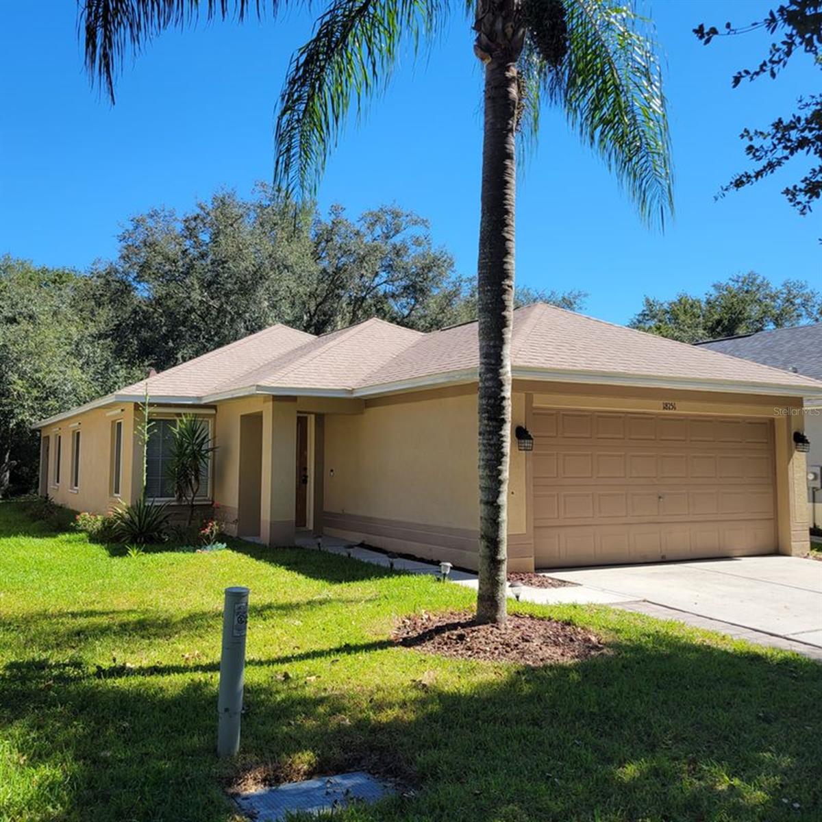 18151 PORTSIDE ST, TAMPA, FL, 33647