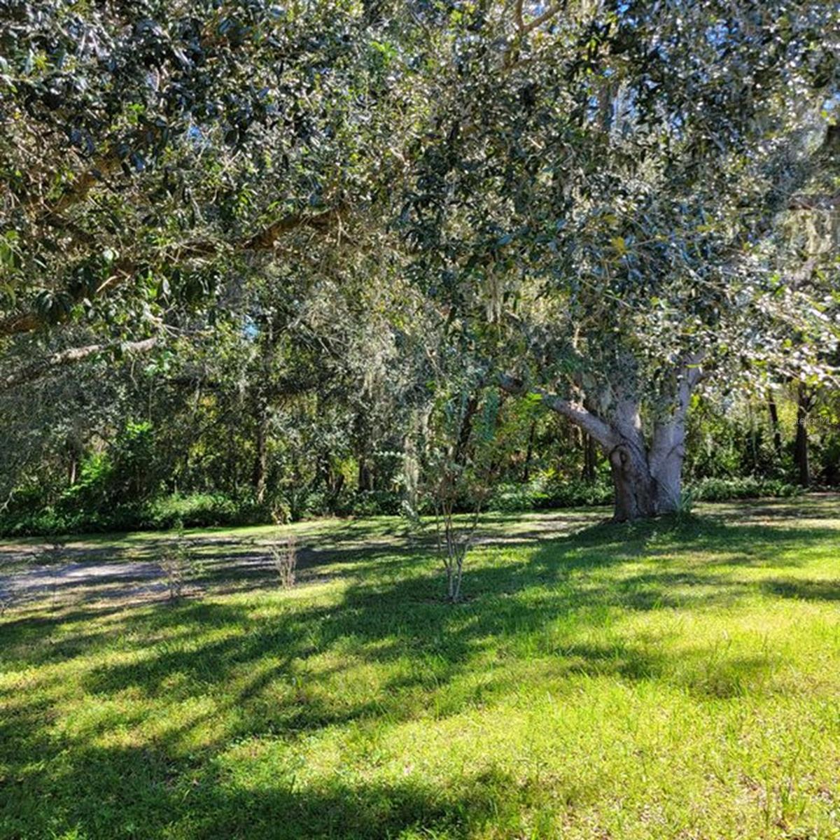 18151 PORTSIDE ST, TAMPA, FL, 33647
