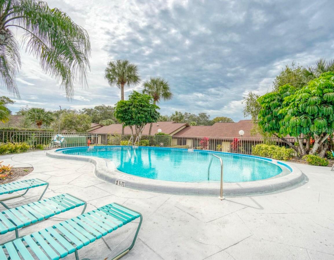 1355 POWDERPUFF DR #908, DUNEDIN, FL, 34698