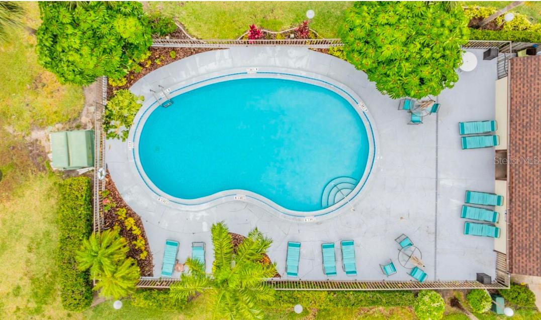 1355 POWDERPUFF DR #908, DUNEDIN, FL, 34698
