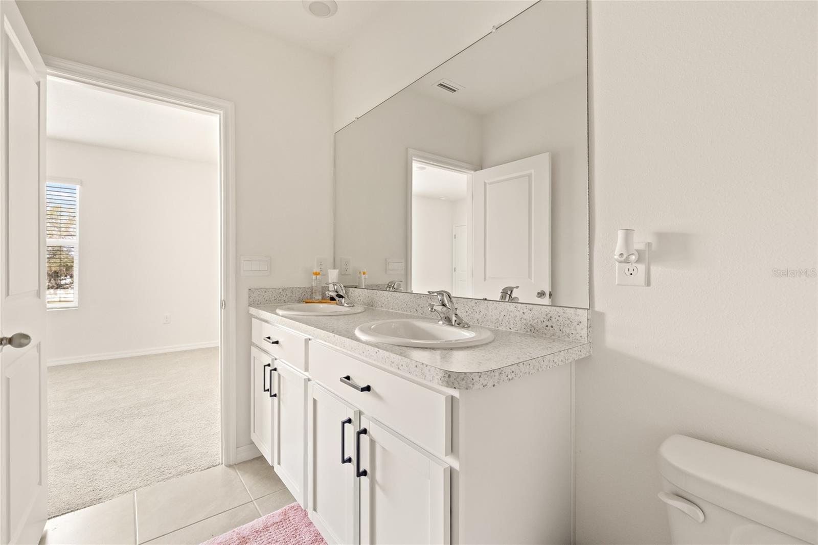 34395 SORREL MINT DR, WESLEY CHAPEL, FL, 33543