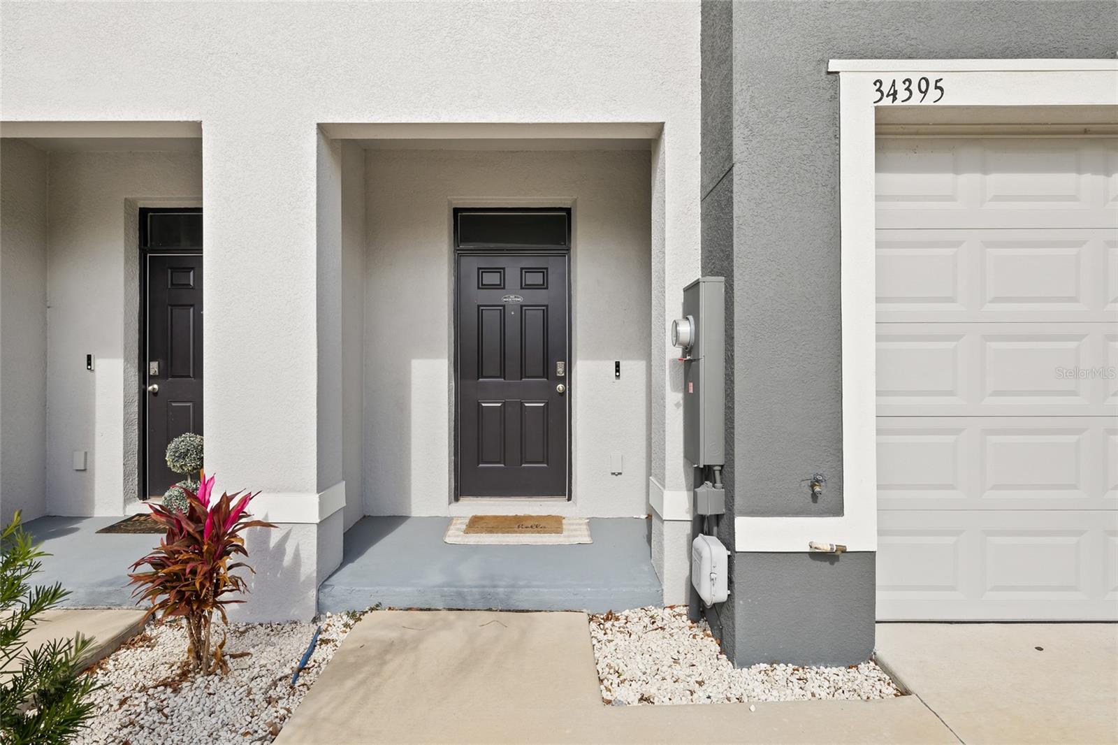 34395 SORREL MINT DR, WESLEY CHAPEL, FL, 33543
