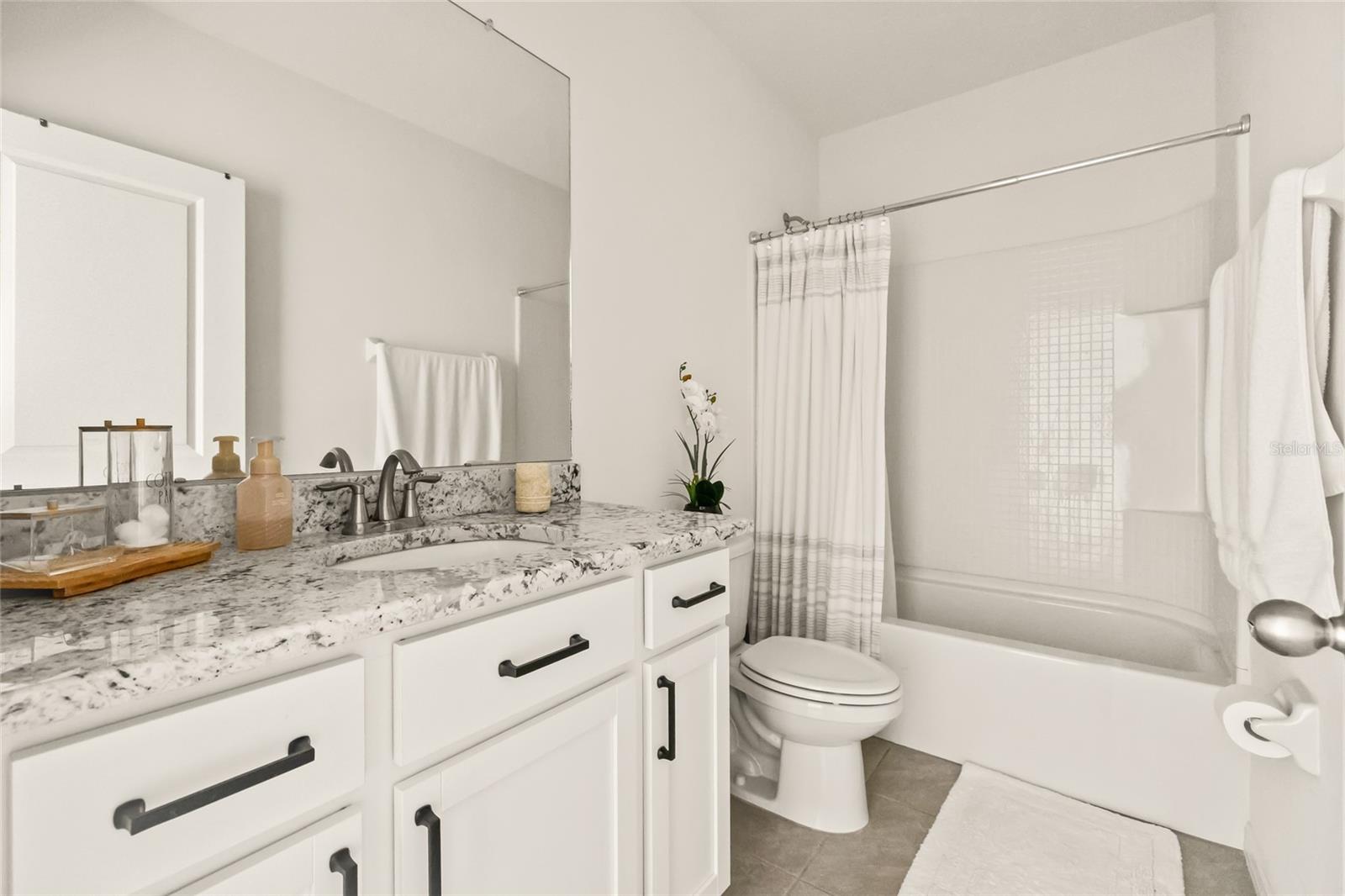 34395 SORREL MINT DR, WESLEY CHAPEL, FL, 33543