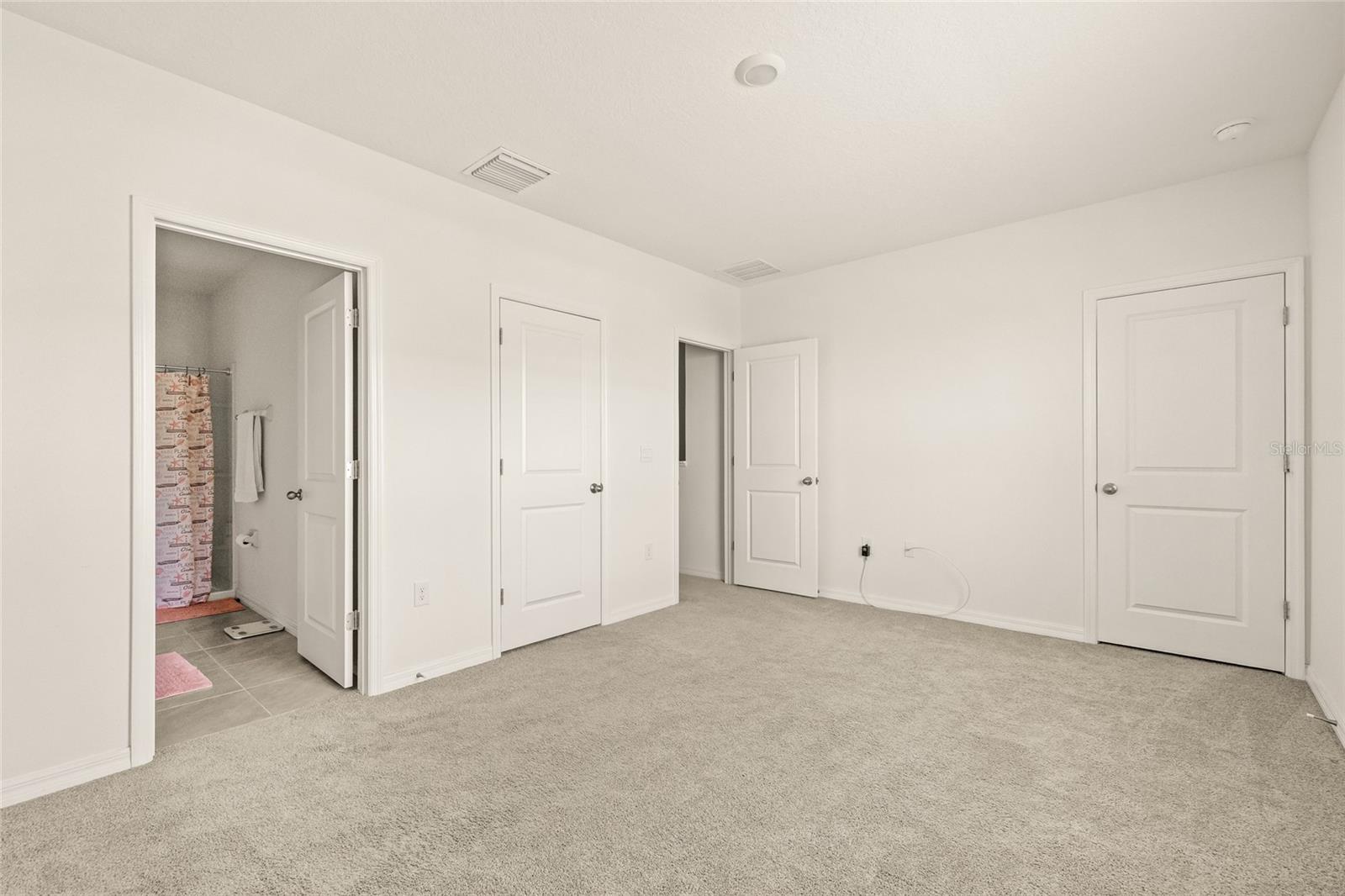 34395 SORREL MINT DR, WESLEY CHAPEL, FL, 33543
