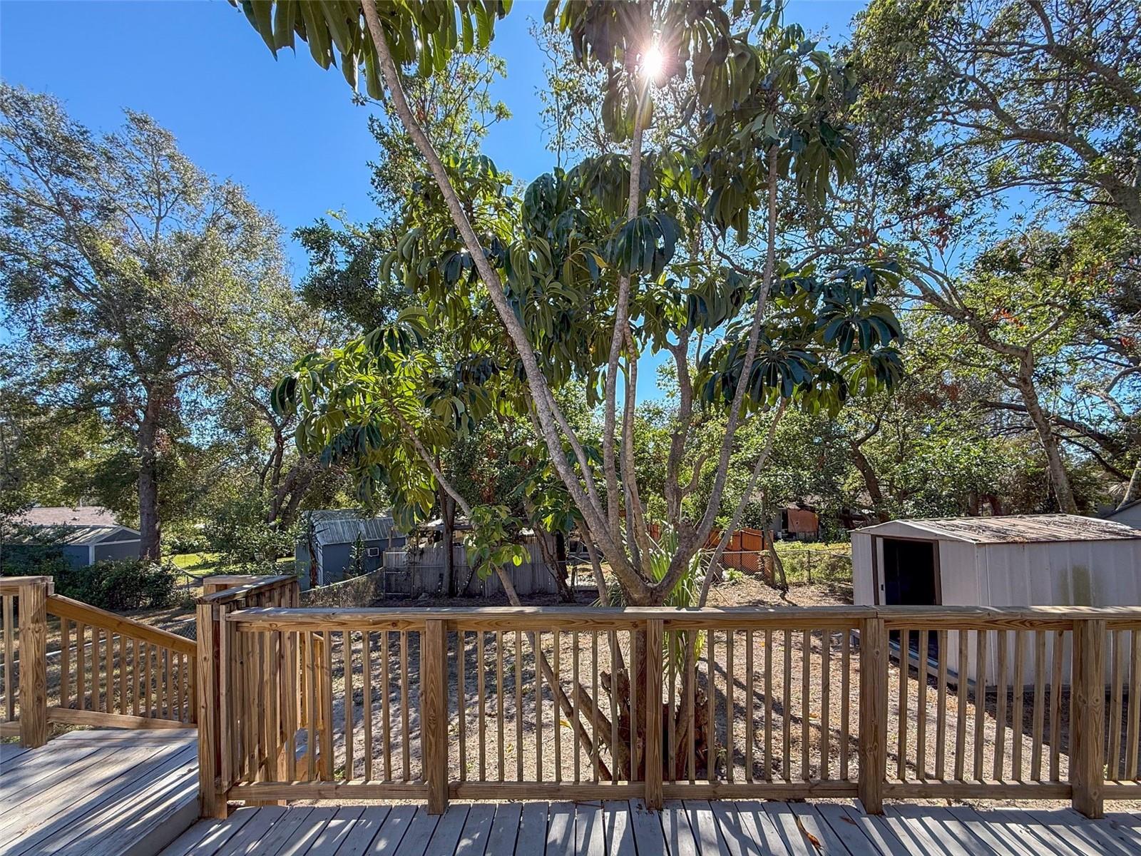 1116 E BOYER ST, TARPON SPRINGS, FL, 34689