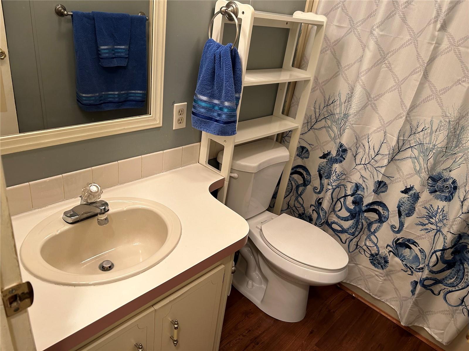 107 STRAWBERRY JUNCTION LN, VALRICO, FL, 33594