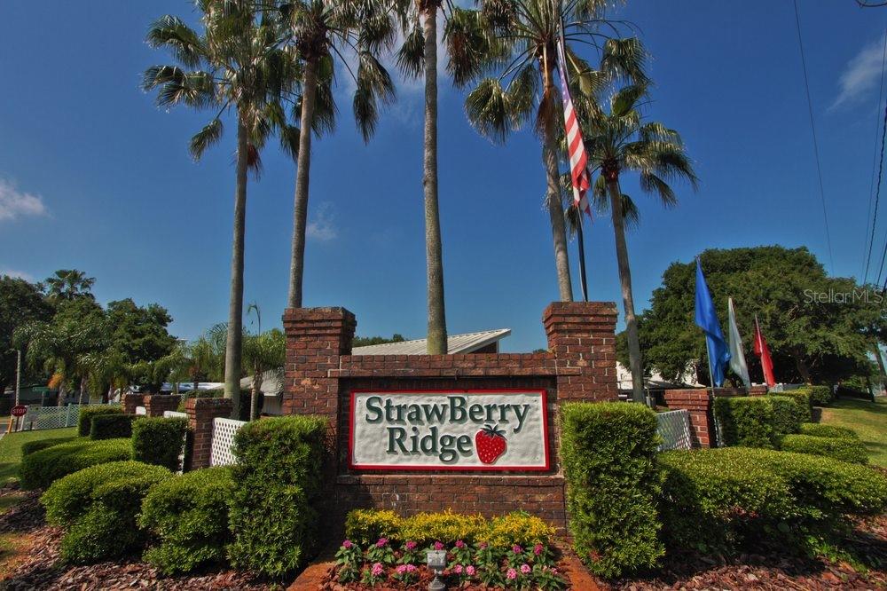 107 STRAWBERRY JUNCTION LN, VALRICO, FL, 33594