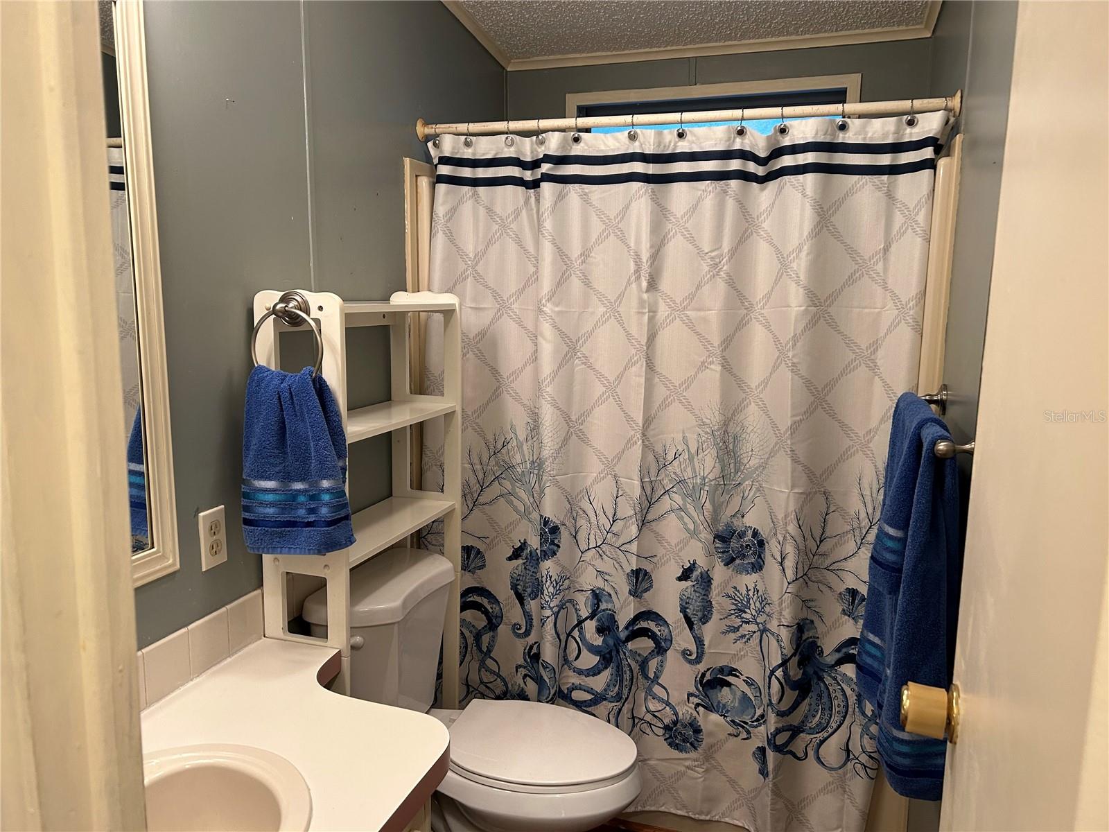 107 STRAWBERRY JUNCTION LN, VALRICO, FL, 33594
