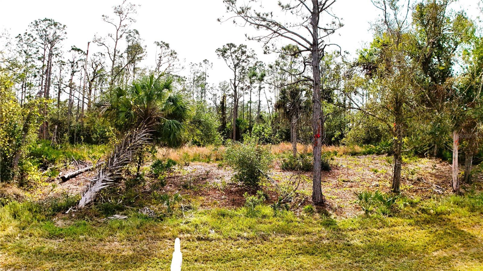 1284 RAMBLER TER, PORT CHARLOTTE, FL, 33953