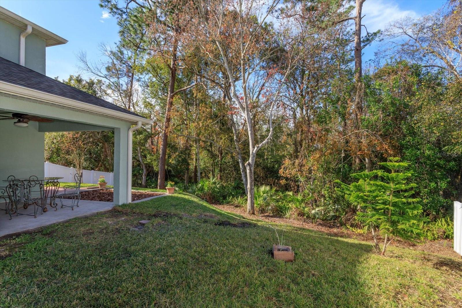611 BUCKHAVEN LOOP, OCOEE, FL, 34761