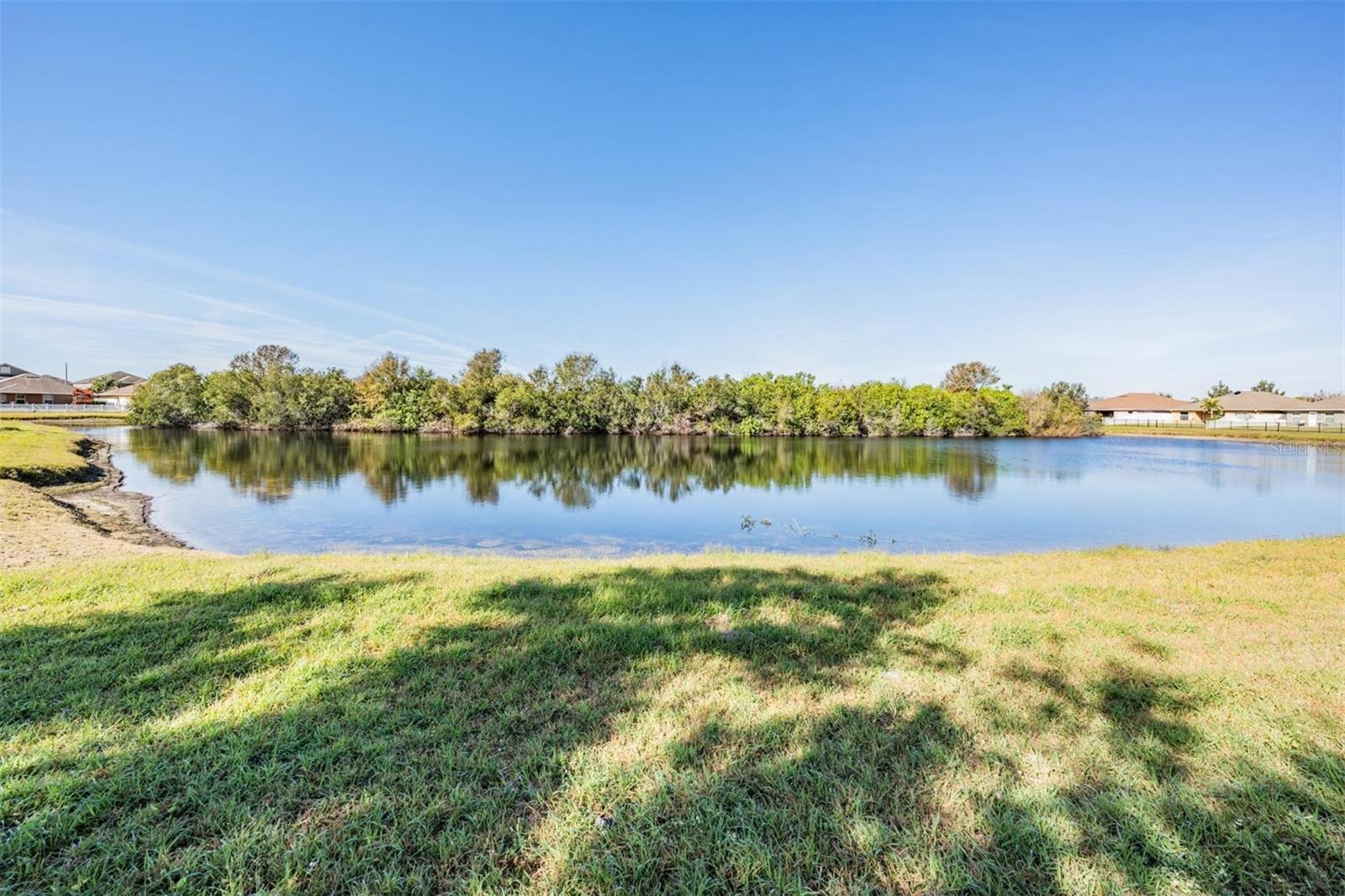 14356 EDINBURGH MOOR DR, WIMAUMA, FL, 33598