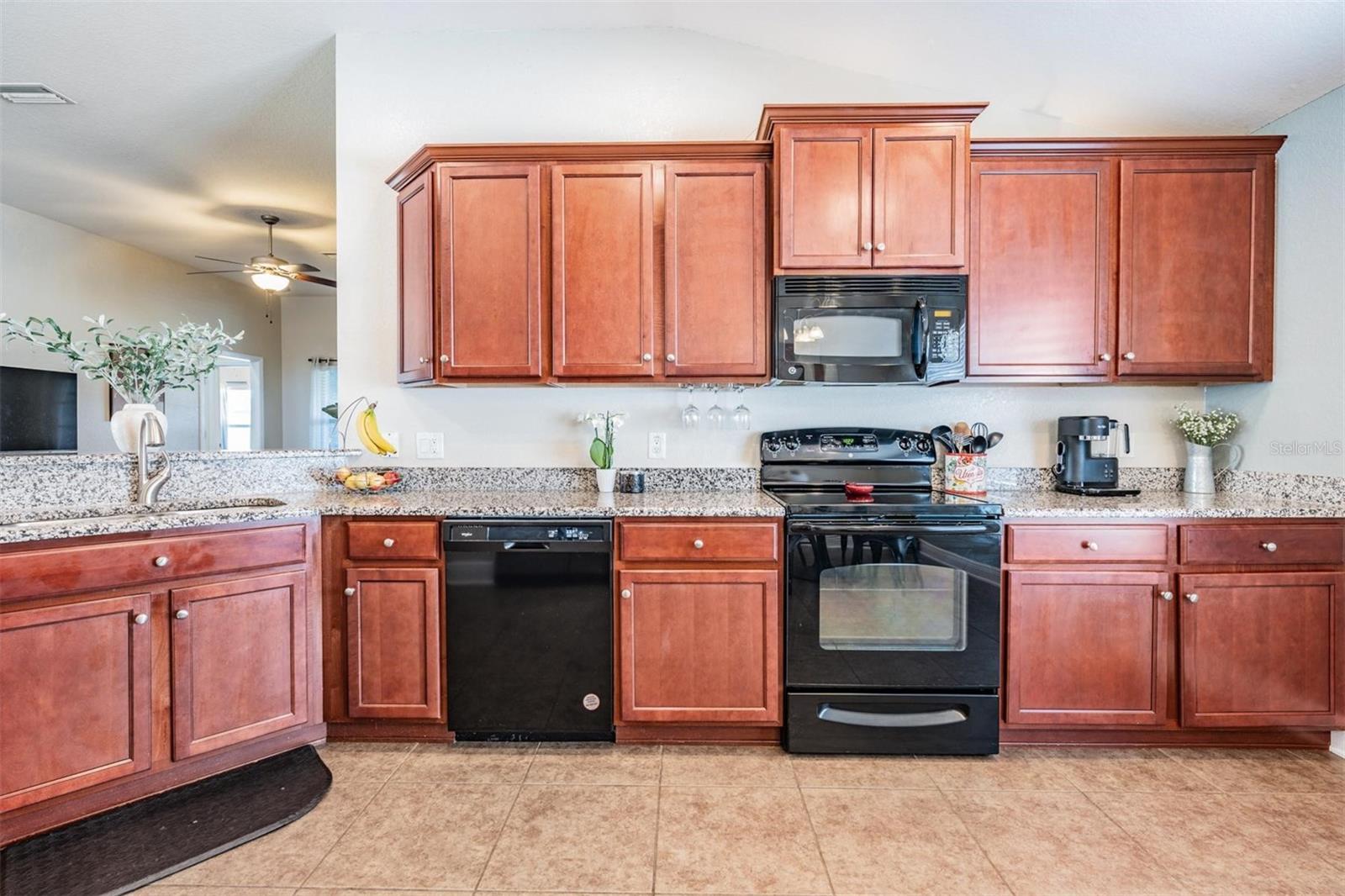 14356 EDINBURGH MOOR DR, WIMAUMA, FL, 33598