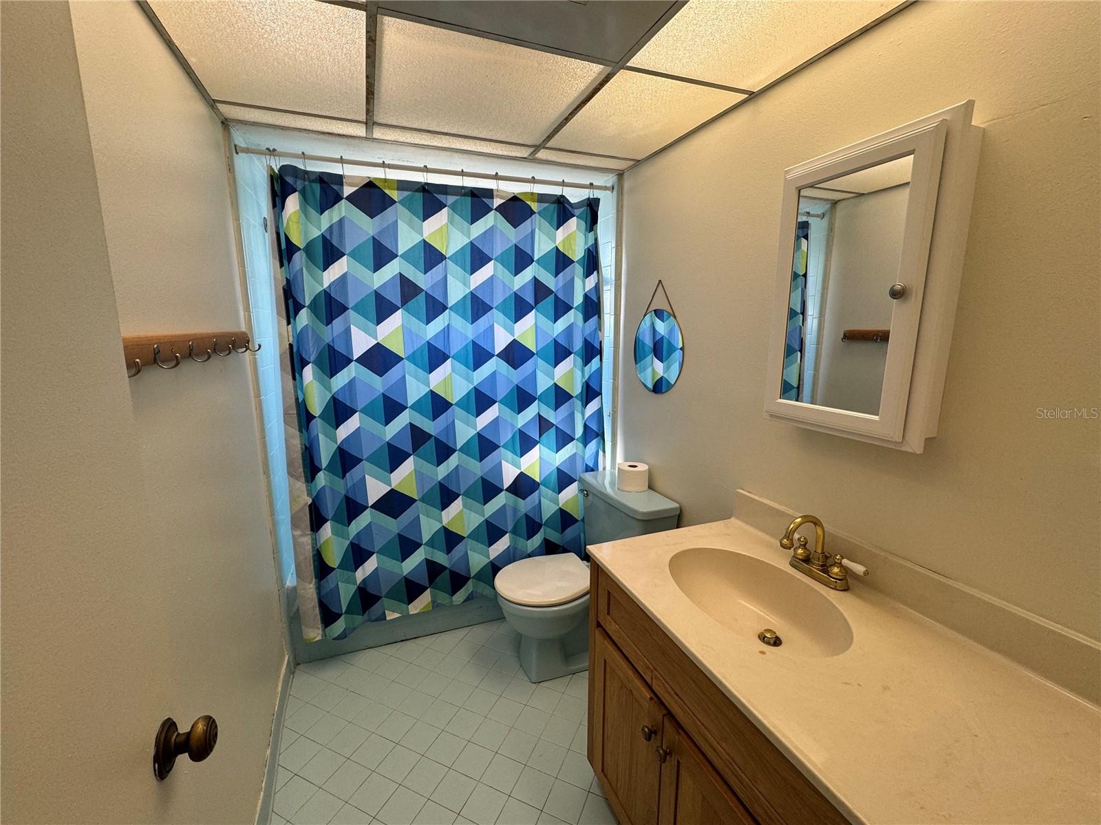 19550 SE 42ND PL, MORRISTON, FL, 32668