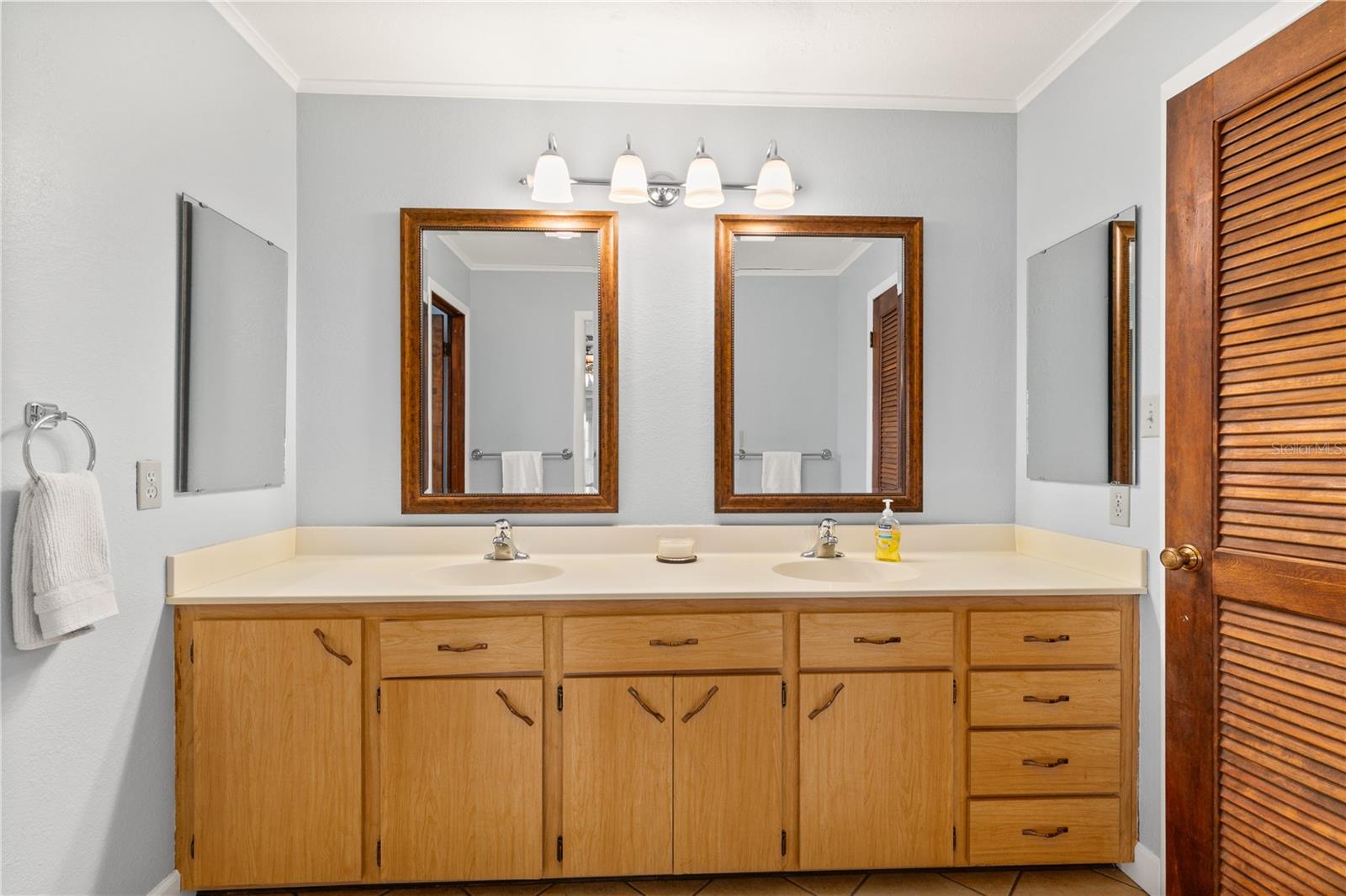 28228 TAMMI DR, TAVARES, FL, 32778