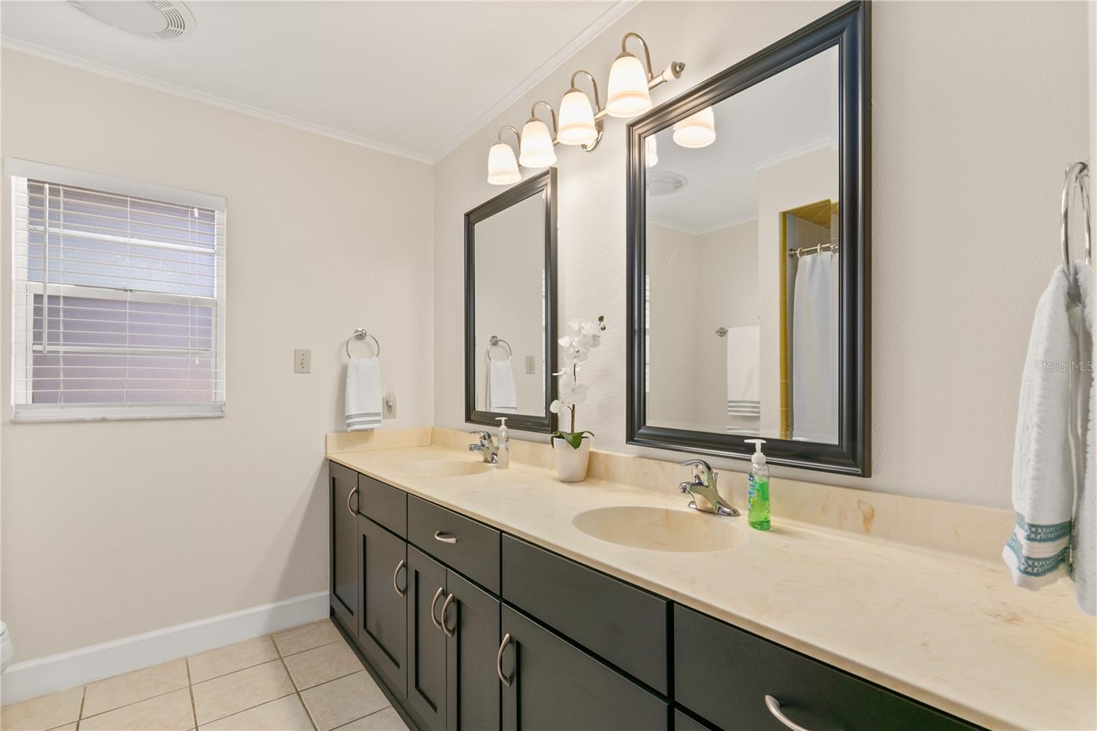 28228 TAMMI DR, TAVARES, FL, 32778