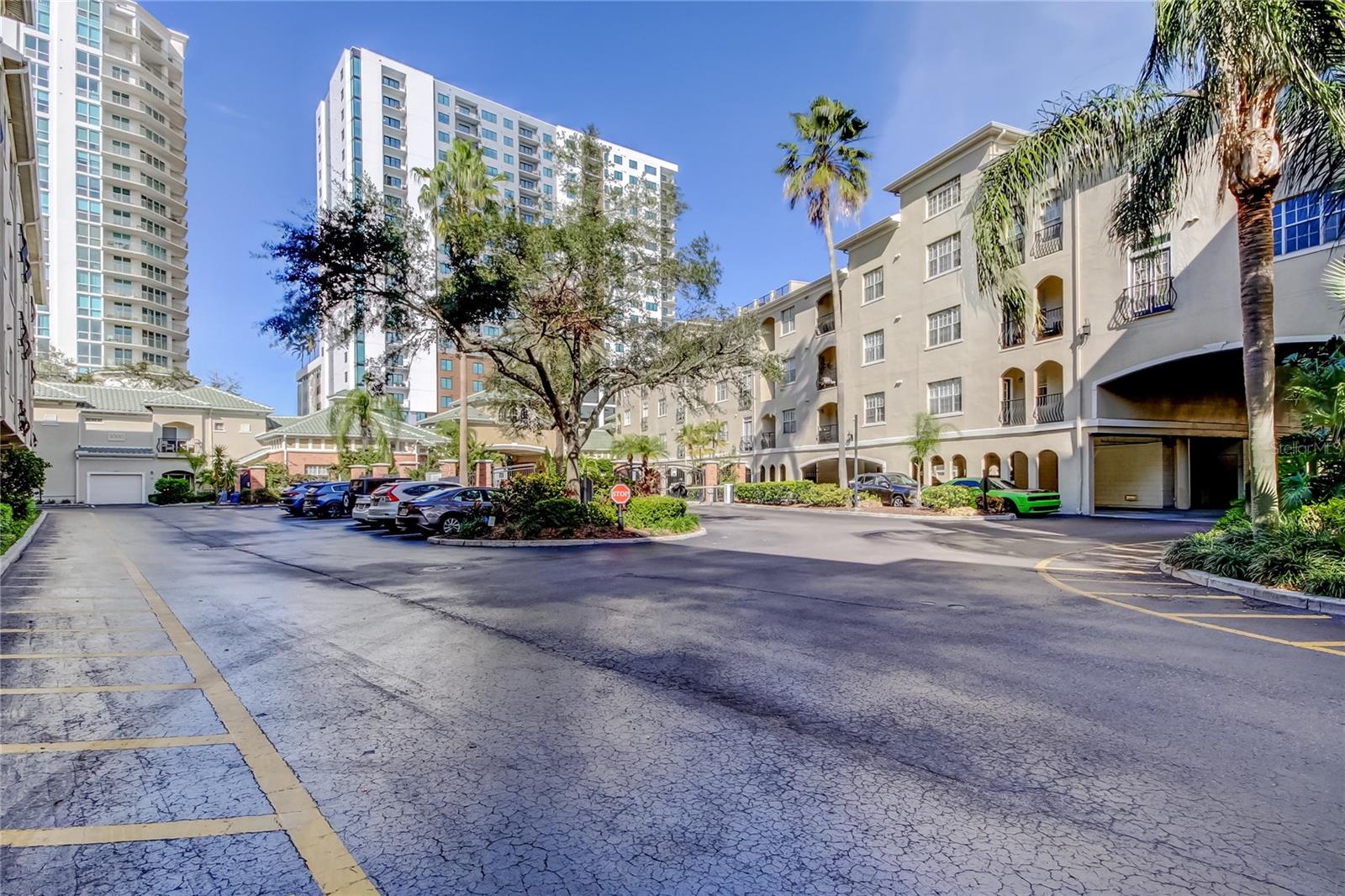 501 KNIGHTS RUN AVE #1213, TAMPA, FL, 33602